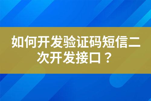 如何開發(fā)驗(yàn)證碼短信二次開發(fā)接口？
