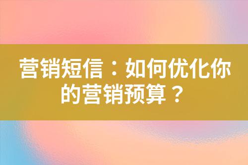 營銷短信：如何優化你的營銷預算？